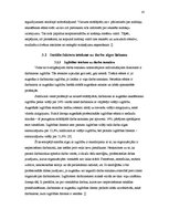 Referāts 'Darba algas lielumu noteicošie faktori', 16.