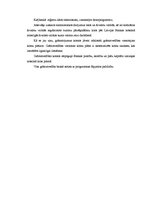 Prakses atskaite 'Prakses atskaite a/s "Latvijas Krājbanka"', 9.