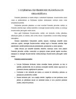 Prakses atskaite 'Prakses atskaite a/s "Latvijas Krājbanka"', 11.