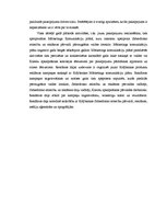 Prakses atskaite 'Prakses atskaite a/s "Latvijas Krājbanka"', 29.