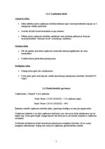 Biznesa plāns 'Zinātniski pētnieciskais darbs komerczinībās. Biznesa plāns', 7.