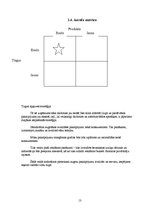 Biznesa plāns 'Zinātniski pētnieciskais darbs komerczinībās. Biznesa plāns', 13.