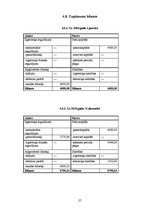 Biznesa plāns 'Zinātniski pētnieciskais darbs komerczinībās. Biznesa plāns', 27.