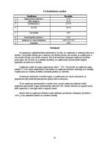 Biznesa plāns 'Zinātniski pētnieciskais darbs komerczinībās. Biznesa plāns', 28.