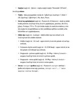 Konspekts 'JsFiddle redaktors: iespējas un īpašības', 13.