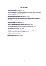 Konspekts 'JsFiddle redaktors: iespējas un īpašības', 18.