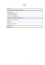 Prakses atskaite 'Prakses atskaite mārketingā. Audita izziņa', 2.