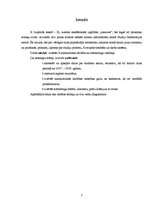 Prakses atskaite 'Prakses atskaite mārketingā. Audita izziņa', 3.