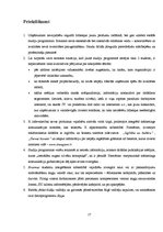 Prakses atskaite 'Prakses atskaite mārketingā. Audita izziņa', 17.