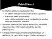 Prakses atskaite 'Prakses atskaite mārketingā. Audita izziņa', 33.