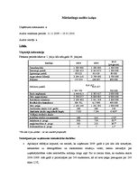 Prakses atskaite 'Prakses atskaite mārketingā. Audita izziņa', 36.