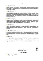 Konspekts 'Vīni', 10.