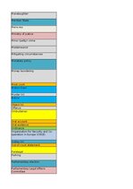 Konspekts 'Jurisprudence - glossary', 13.