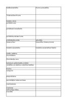 Konspekts 'Jurisprudence - glossary', 48.