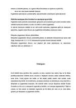 Referāts 'Sociālā aprūpe', 16.