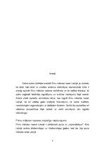 Referāts 'Filmu mākslas nozare Latvijā', 3.