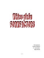 Konspekts 'Mātes plates. Izmēri un formas faktori', 1.