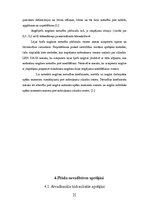 Prakses atskaite 'Ilūkstes dzirnavu HES', 21.