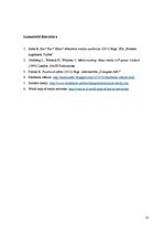 Referāts 'Sociālā portāla facebook.com lietošanas paradumi dažādās vecuma grupās', 12.