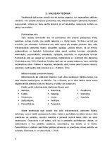 Referāts 'Žurnāla “L'Officiel” 2015.gada un 2020.gada numuru valodas analīze un tās salīdz', 5.