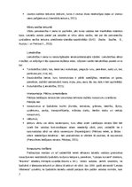 Referāts 'Žurnāla “L'Officiel” 2015.gada un 2020.gada numuru valodas analīze un tās salīdz', 7.