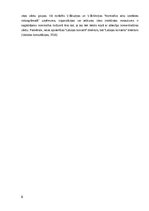 Referāts 'Žurnāla “L'Officiel” 2015.gada un 2020.gada numuru valodas analīze un tās salīdz', 8.