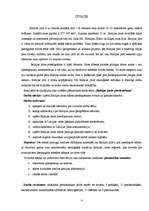 Referāts 'Baltijas jūras piesārņošana', 4.