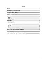 Referāts 'Meirāni', 1.