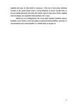 Biznesa plāns 'Biznesa plāns biškopības veikalam', 8.