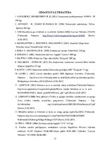 Diplomdarbs 'Sociālā rehabilitācija aprūpes centrā klientiem ar psihiskiem traucējumiem', 37.