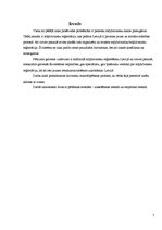 Paraugs 'Mīļdzīvnieku reģistrācija Jelgavā', 5.