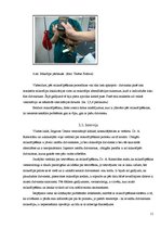 Paraugs 'Mīļdzīvnieku reģistrācija Jelgavā', 11.