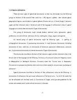 Referāts 'Dictionaries and the Modern Time', 11.