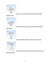 Referāts 'Sportistu - svarcēlāju temperaments', 8.