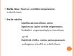Referāts 'Sportistu - svarcēlāju temperaments', 38.