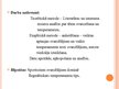 Referāts 'Sportistu - svarcēlāju temperaments', 39.