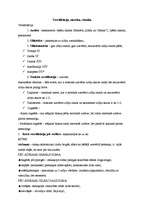 Konspekts 'Ritms, versifikācija', 1.