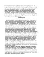 Konspekts 'Bērna pielāgošanās pieaugušo dzīvei', 4.