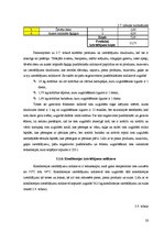 Prakses atskaite 'Viesu mājas "Holzmühle" restorāna un terases kafejnīcas analīze', 28.