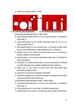 Prakses atskaite 'Viesu mājas "Holzmühle" restorāna un terases kafejnīcas analīze', 47.