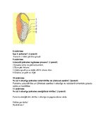 Konspekts 'Pārbaudes darbs par graudiem', 5.
