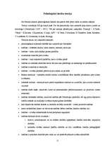 Referāts 'Tiesību rašanās teorijas', 15.