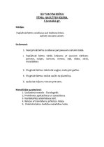 Konspekts 'Rotaļnodarbība', 1.