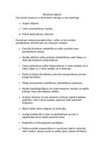 Konspekts 'Cauruļvadu transports', 4.