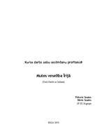 Referāts 'Mutes veselība Īrijā', 1.