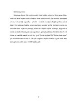 Biznesa plāns 'IU "Sēne"', 9.