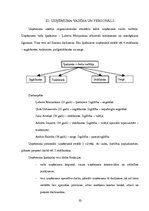 Biznesa plāns 'IU "Sēne"', 10.