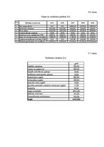 Biznesa plāns 'IU "Sēne"', 20.