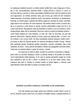 Referāts 'Anarhistu un nacistu dažādu uzskatu salīdzinājums', 13.