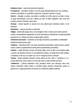 Referāts 'Anarhistu un nacistu dažādu uzskatu salīdzinājums', 24.